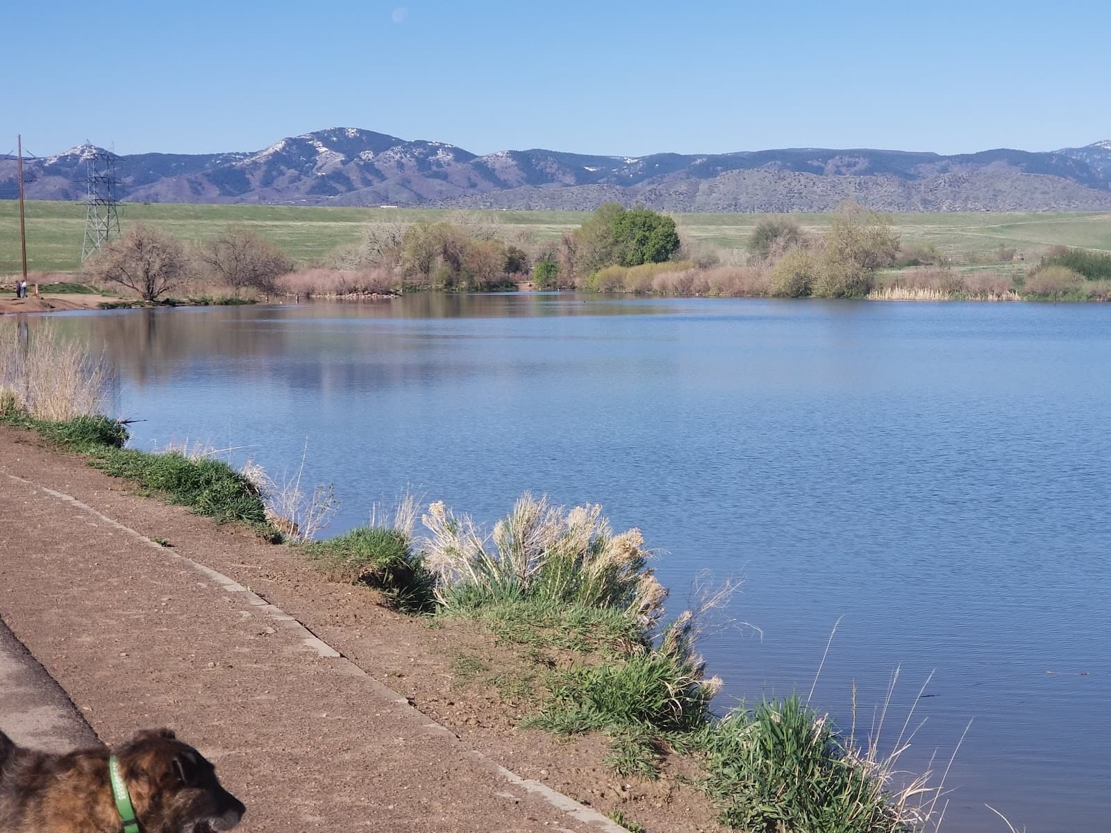 Chatfield Dog Park