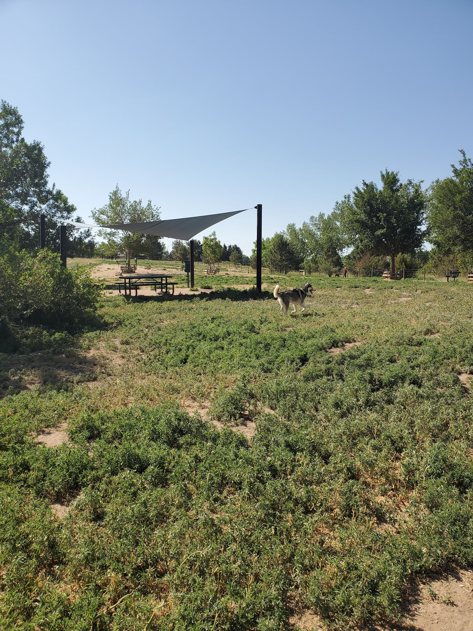 Hound Hill Dog Park