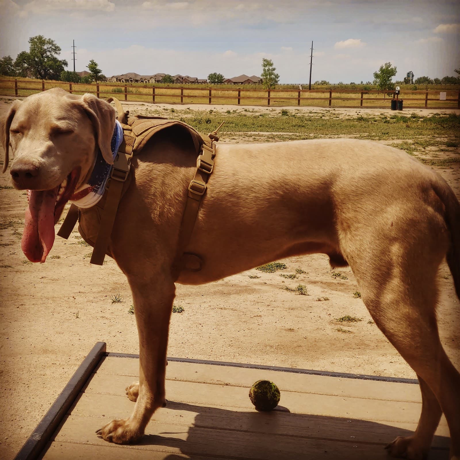 USMC CPL David M. Sonka Dog Park